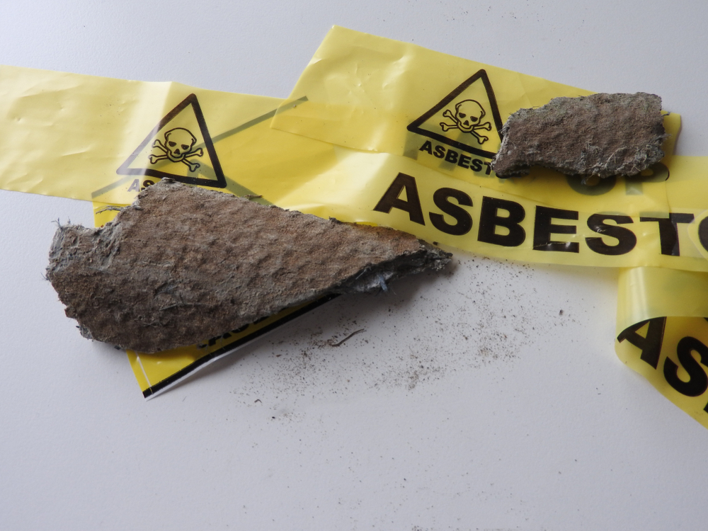 Asbestos Basics  (ROSPA Endorsed)